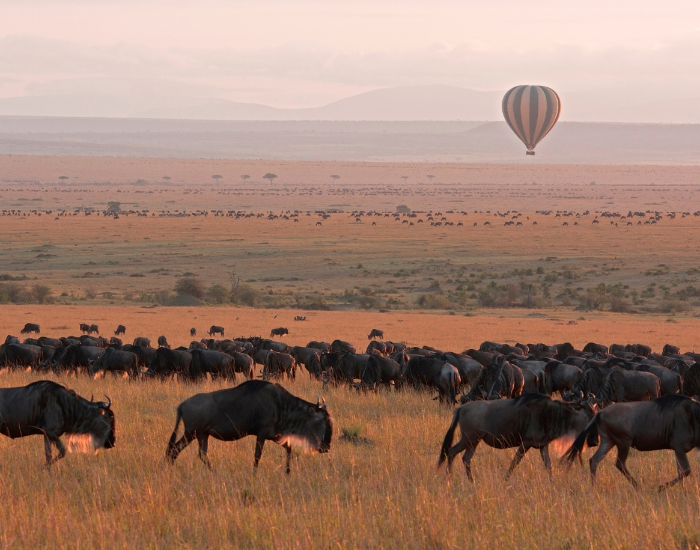 ballon-masai-mara.webp masai mara panoramic view and a ballon safari in the air on the background