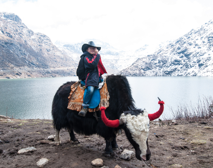 bou riding a yak in the wild with a lake and mountains on the background