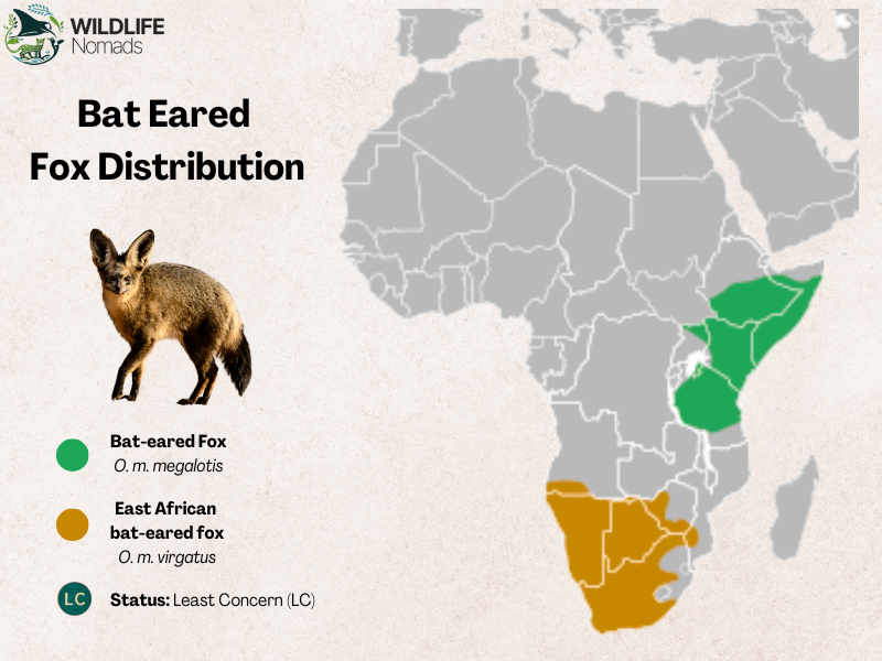 Bat-Eared-Fox-Distribution.webp Bat Eared Fox Distribution map