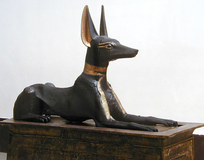 Tutankhamun-jackal.webp Tutankhamun jackal statue