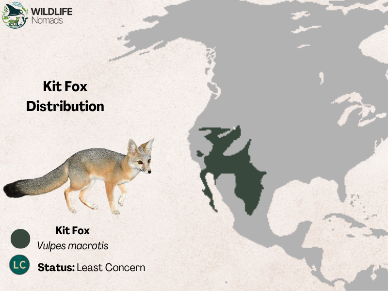 map of north america showing the distribution of the kit fox