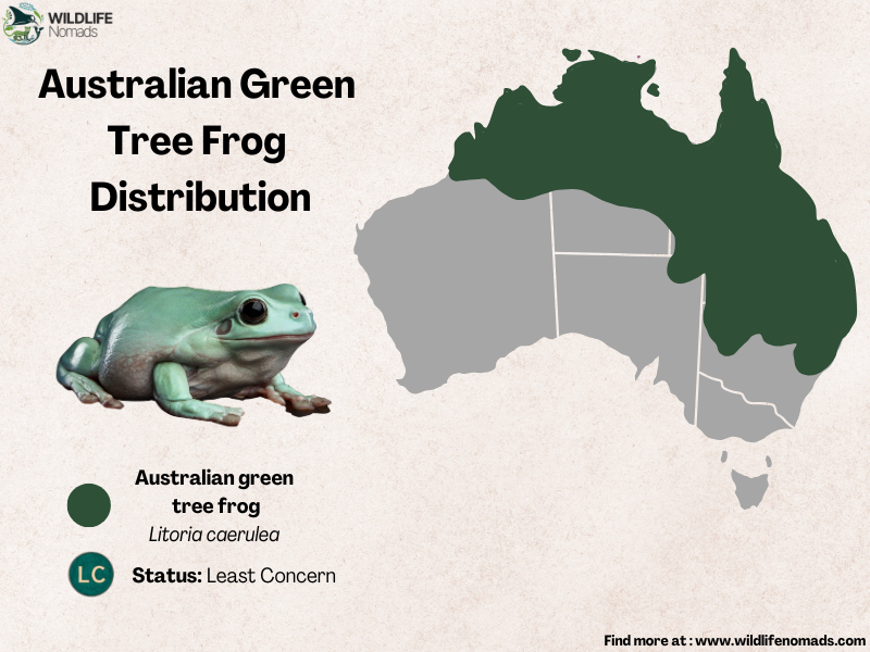Australian-green-tree-frog-Distribution.webp a map of australia indicating the distribution of the white tree frogs