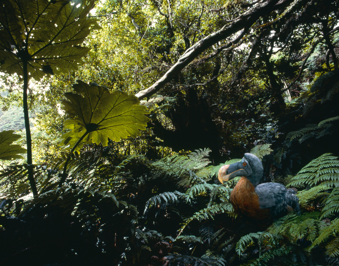 Dodo-statue-in-the-field.webp a statue of a dodo places in a lush rainforest