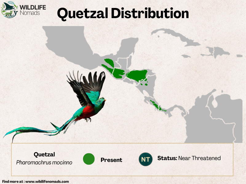map of central America showing the distribution of the quetzal
