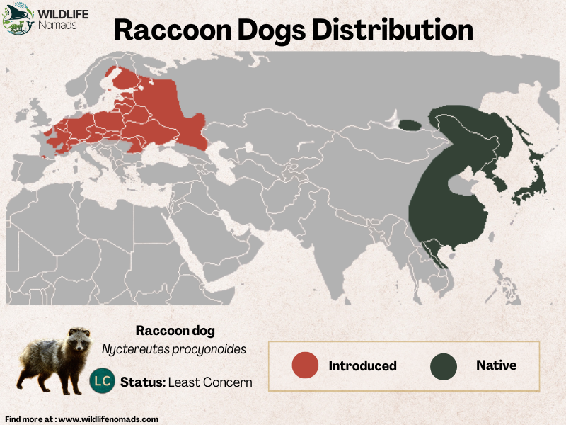 Raccoon Dogs Distribution map