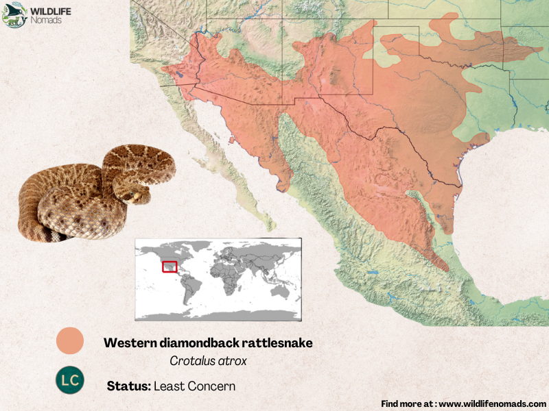 distribution map of crotalus atrox in the US and Mexico