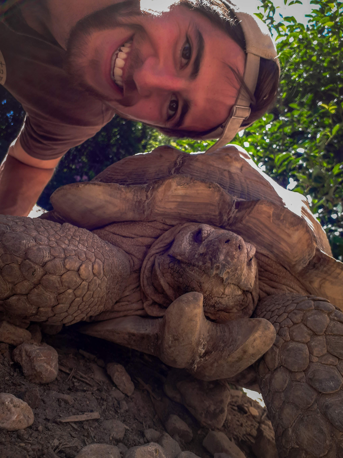a man taking a selfie with a giant tortoise