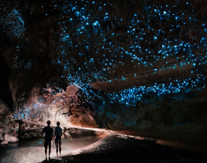 glow-worm-cave-new-zealand.webp cave with many glow worms on the roof creating a glow worm sky