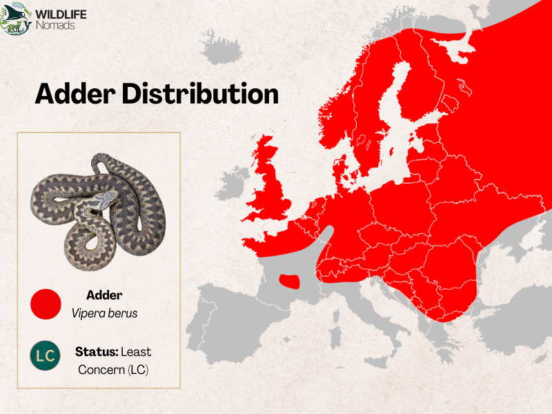 distribution map of the adder in europe