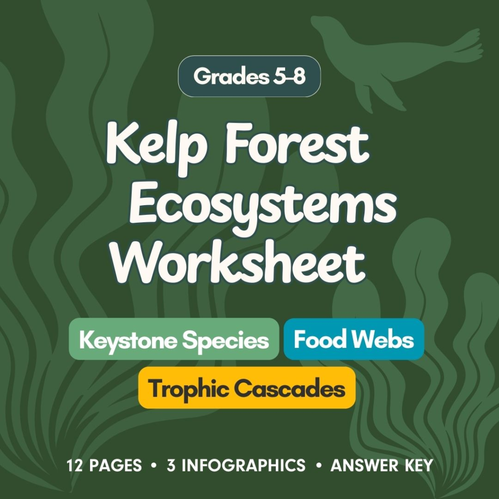 Kelp Forest Ecosystems worksheet cover