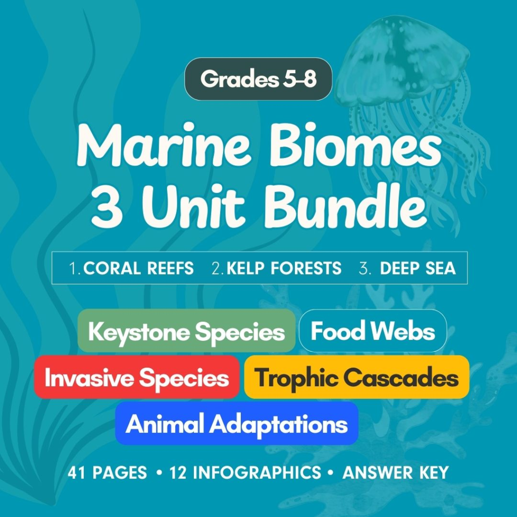 Marine Biomes and Ecosystems worksheet bundle