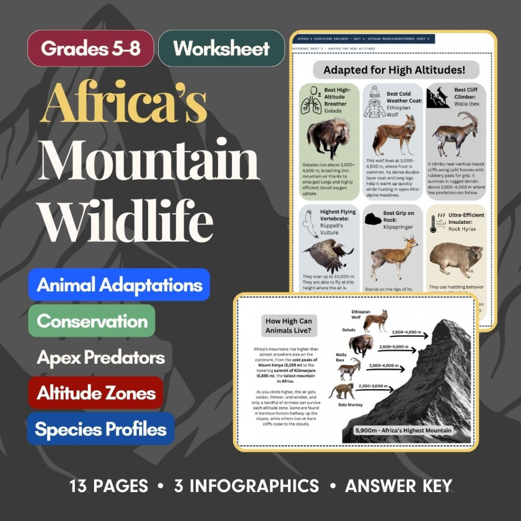 African Mountains worksheet cover
