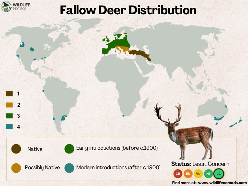 Fallow-Deer-Distribution-map.webp Fallow Deer Distribution map