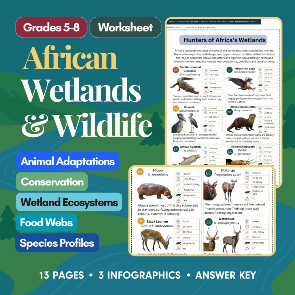 African Wetlands and Fresh Water worksheet cover