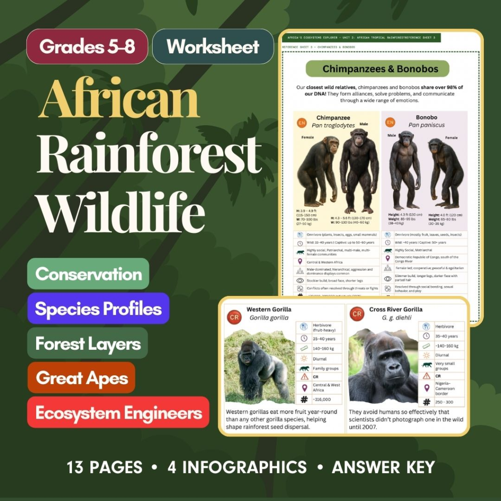 African Tropical Rainforest worksheet cover