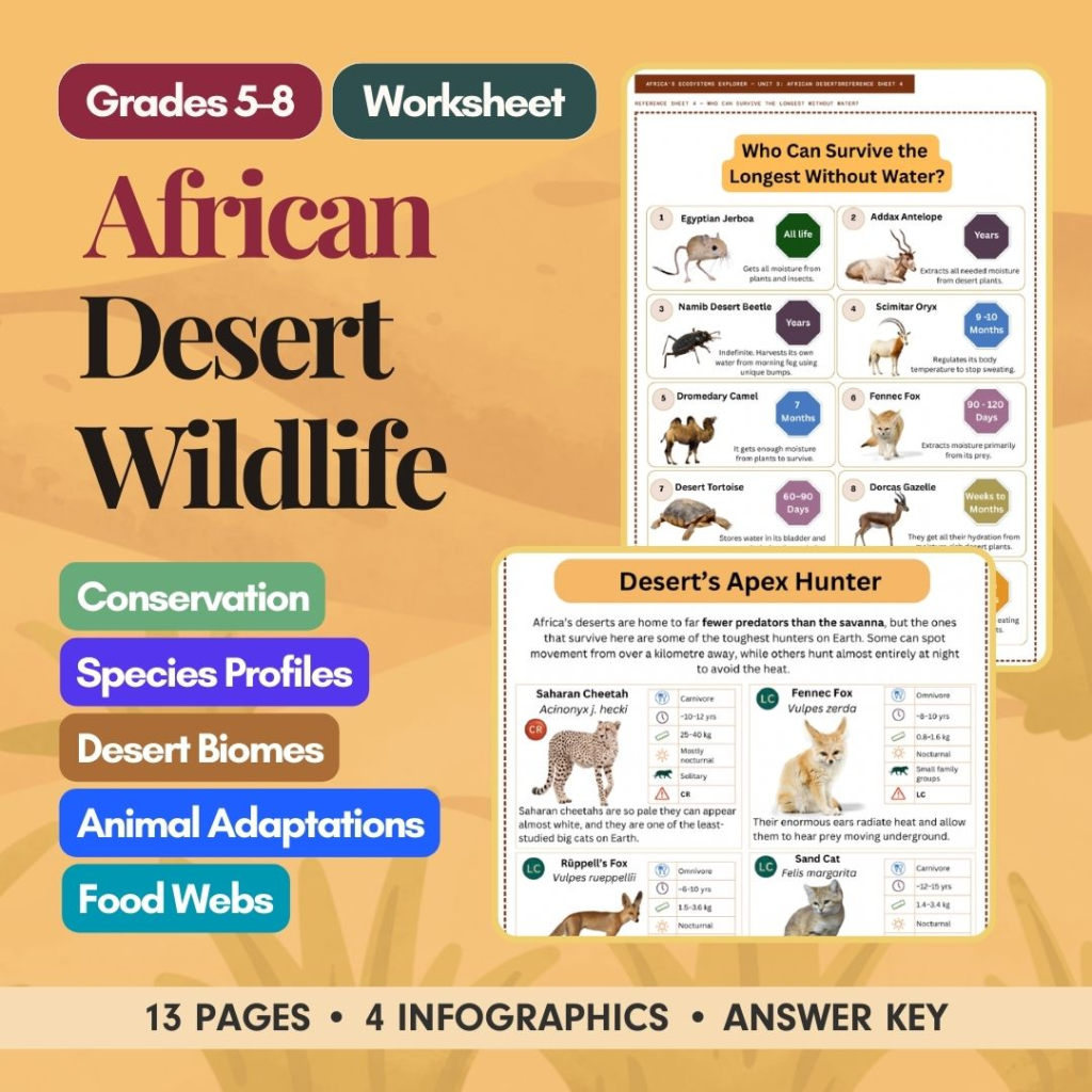 African Deserts worksheet cover