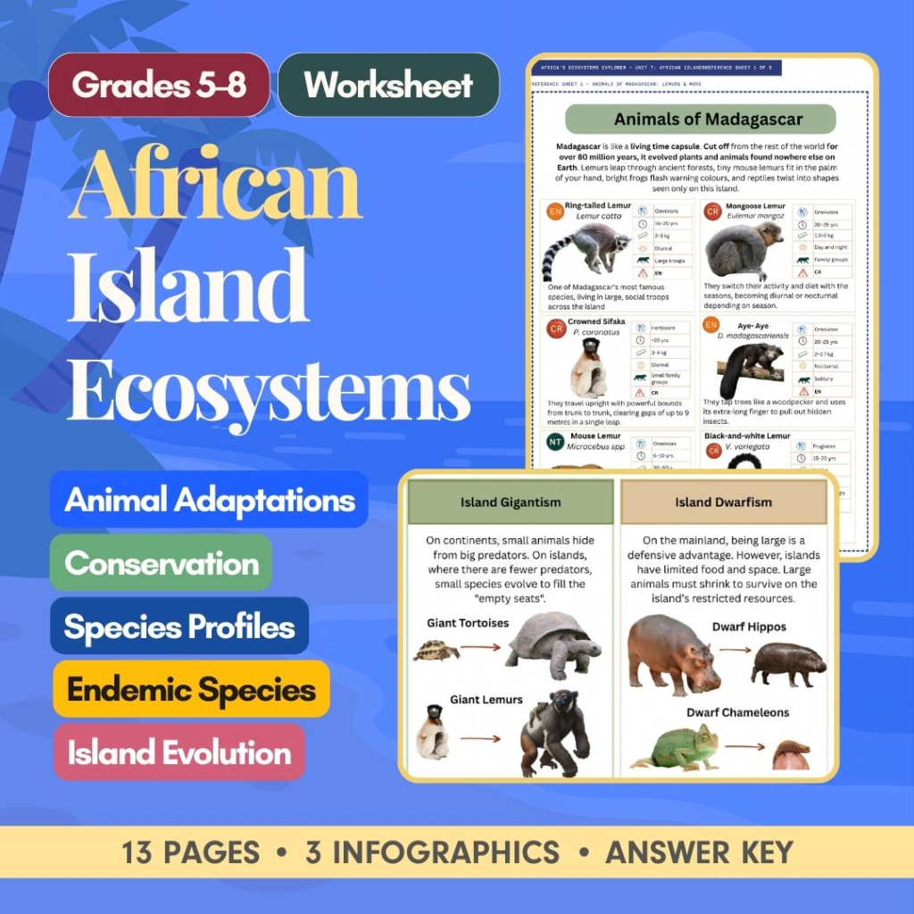 African Islands worksheet cover