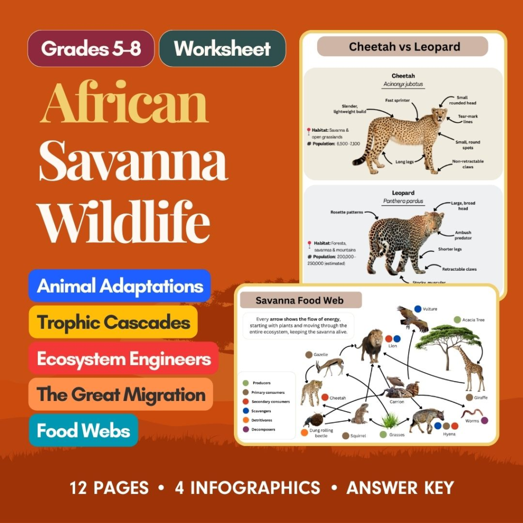African Savanna and Grasslands worksheet cover