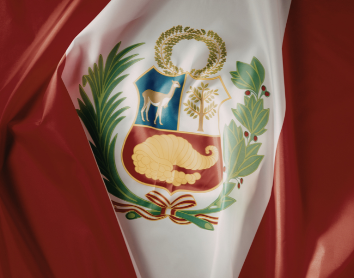 close up of the coat of arms on peruvian flag showing the vicuna