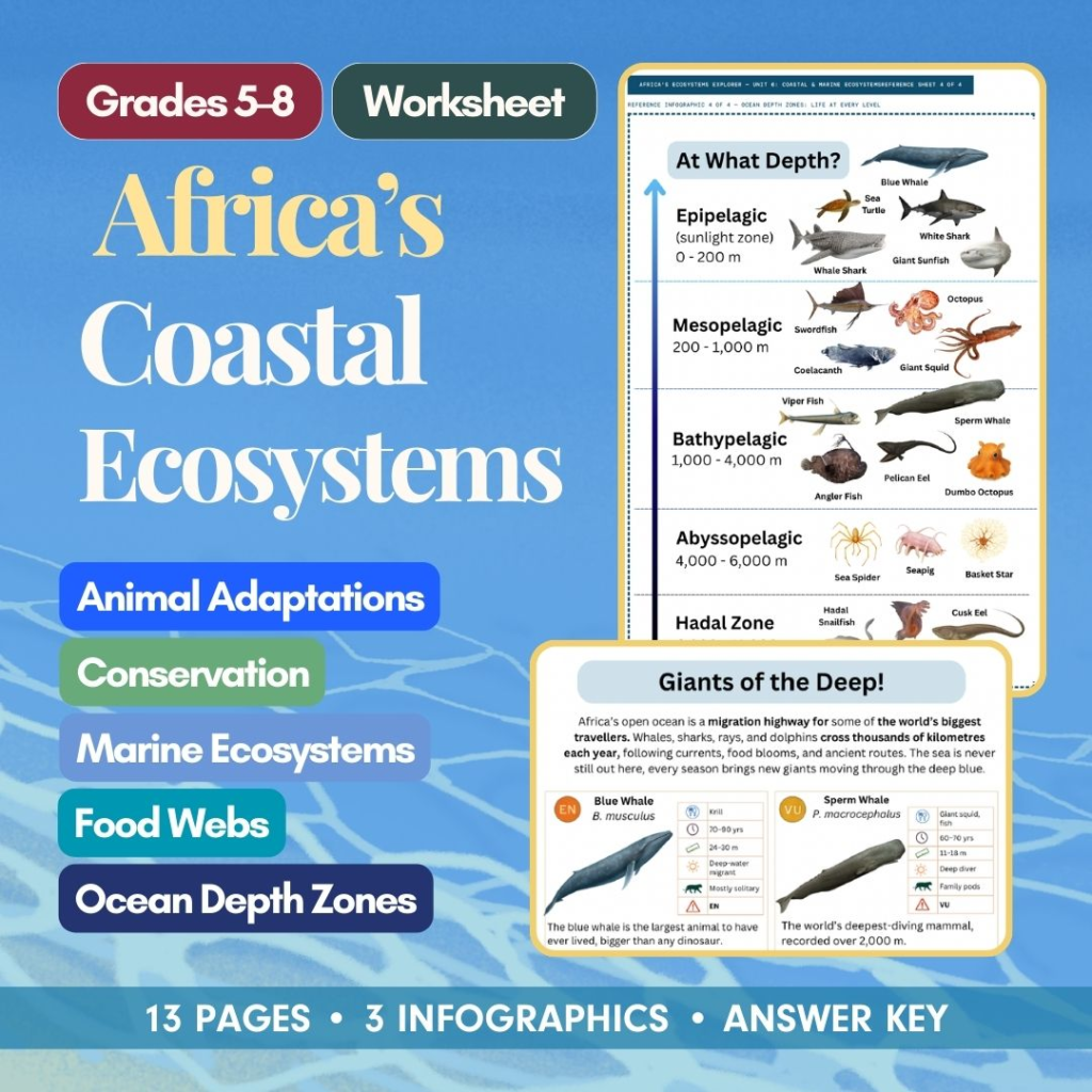 African Coastal and Marine worksheet cover