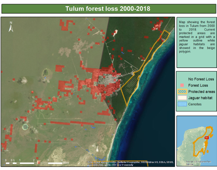 map of forest loos in tulum