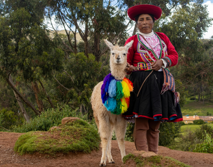 woman-with-llama.webp an indigenous woman from peru next to a llama dressed in traditional costumes
