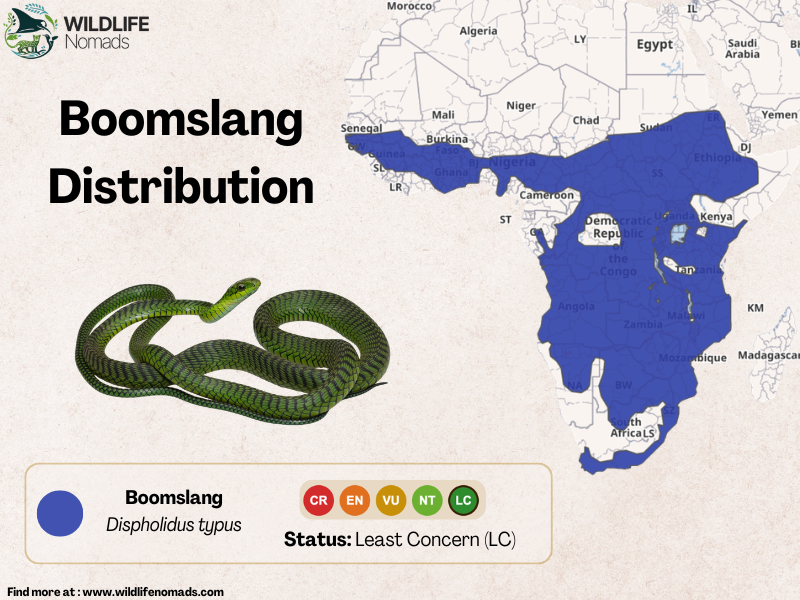 a map of africa showing the distribution of the boomslang