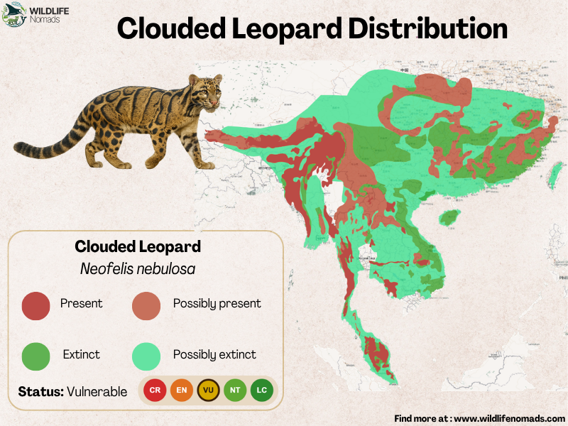 Clouded-Leopard-distribution-south-east-asia.webp Clouded Leopard Distribution map