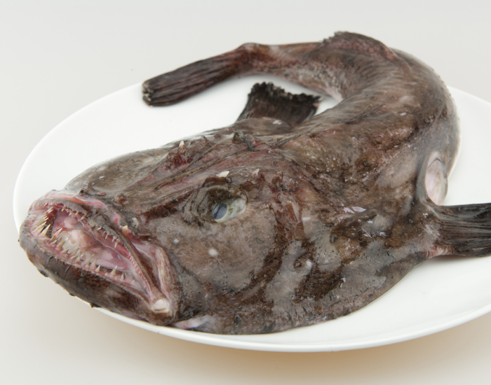 monkfish on a dish plate