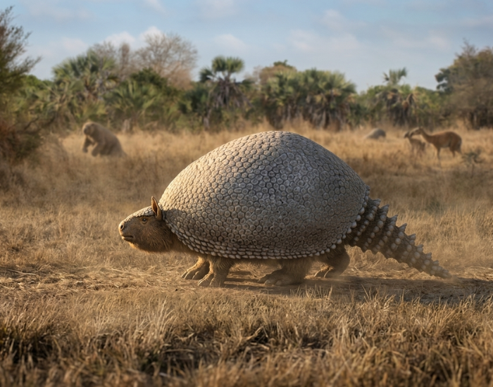 An ultra-realistic photograph of a massive, armored Glyptodon (Glyptodon clavipes) walking across a dry, grassy South American Pleistocene savanna. The animal is enclosed in a huge, domed carapace made of intricate, mosaic-like bony scales, with a heavily armored, spiked tail trailing behind. The ground is dusty, throwing up fine volumetric particles as it steps, with scattered palm trees and other prehistoric megafauna, like a giant ground sloth, visible in the hazy, sun-drenched background.