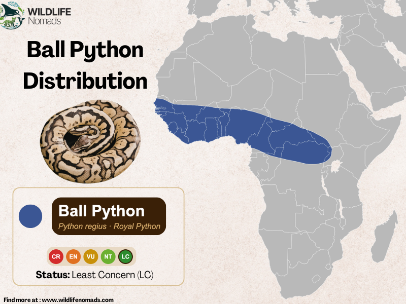 a map of africa showing the distirbution of the ball python