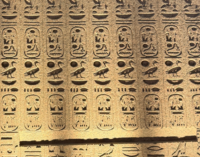 Close-up of a stone wall at the Grand Egyptian Museum featuring neatly arranged rows of ancient Egyptian hieroglyphs, including prominent carvings of Egyptian geese, cartouches, and sun discs etched into the textured sandstone surface.