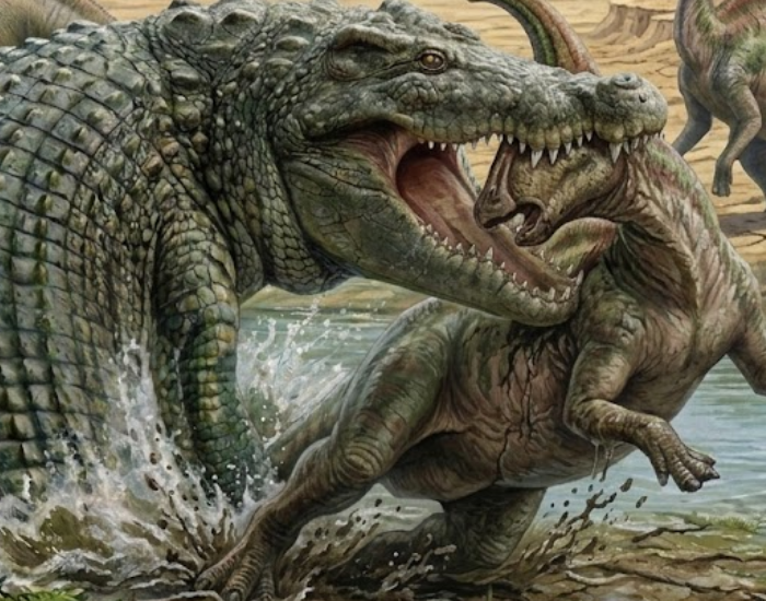 Close-up paleoart of a giant Deinosuchus ambush predator biting a dinosaur at the edge of a coastal wetland.