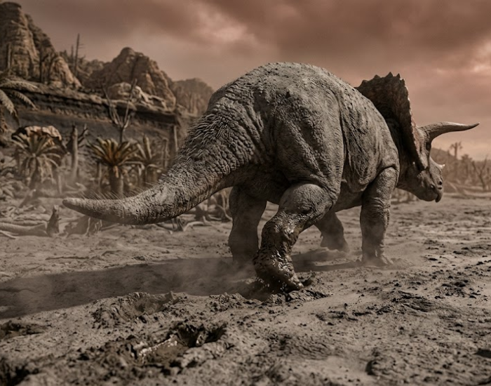 A dramatic low-angle shot from behind a Triceratops as it walks through a barren, muddy landscape under a hazy, dust-filled orange sky. The environment is sparse with dead, twisted prehistoric vegetation, evoking a sense of extinction.