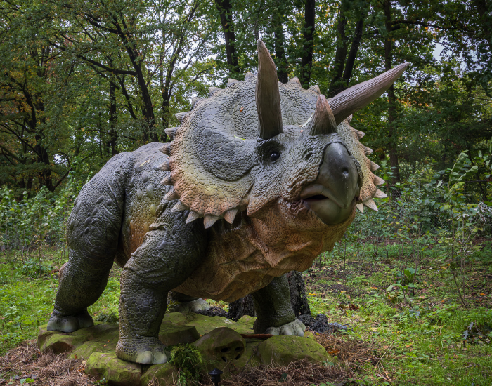 A full-body life-sized statue of a Triceratops placed within a public park or wooded area. The model is realistically painted with green and brown tones and stands on a faux-rock base surrounded by green grass, ferns, and trees.