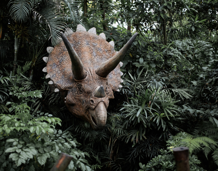 The front view of a life-sized animatronic or statue of a Triceratops head emerging from dense, green tropical foliage and jungle ferns. The large frill, brow horns, and curved beak face forward, blending into the surrounding plants.