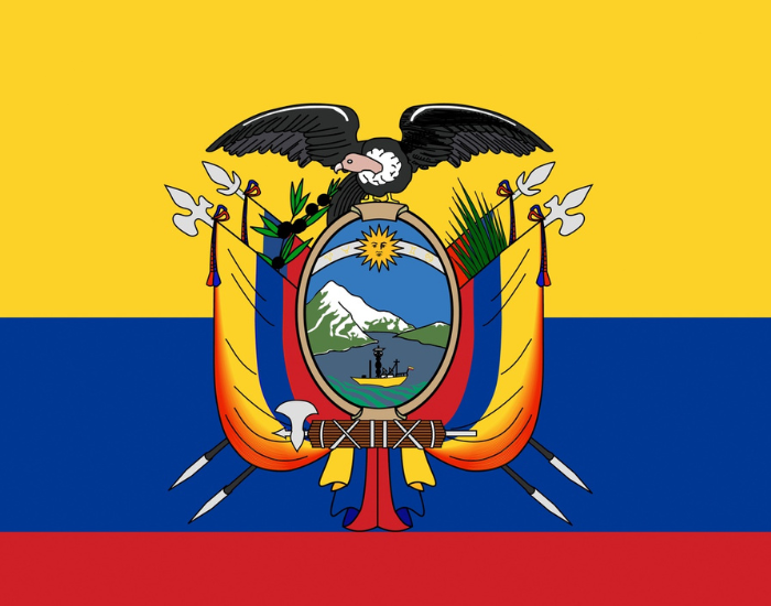 close up for the ecuador flag