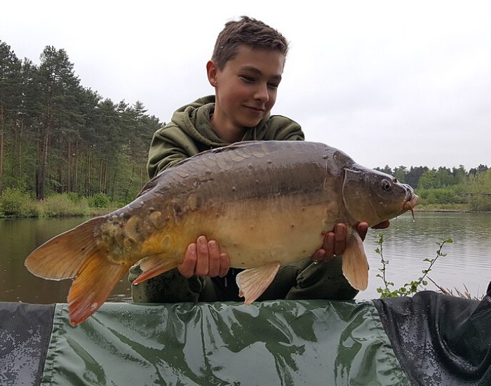 An angler holding up a large scale-less leather carp outdoors near water.