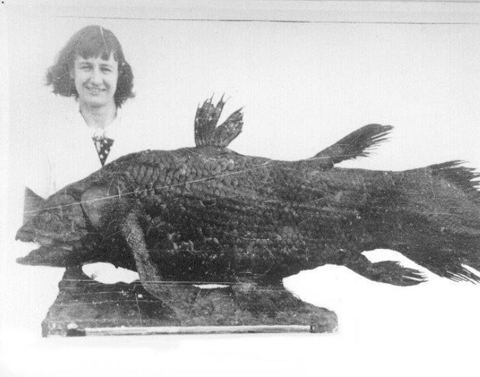 Marjorie Courtenay-Latimer and coelacanth after its discovery
