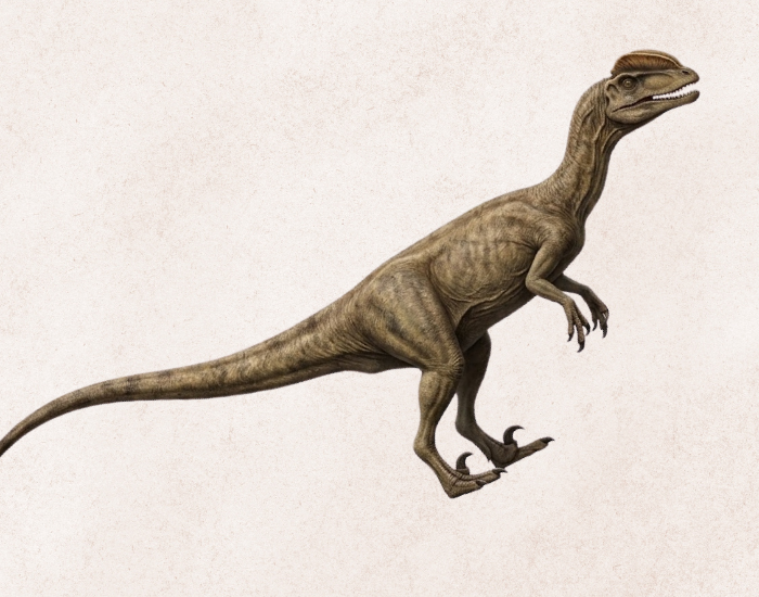 Dilophosaurus, showing its twin head crests