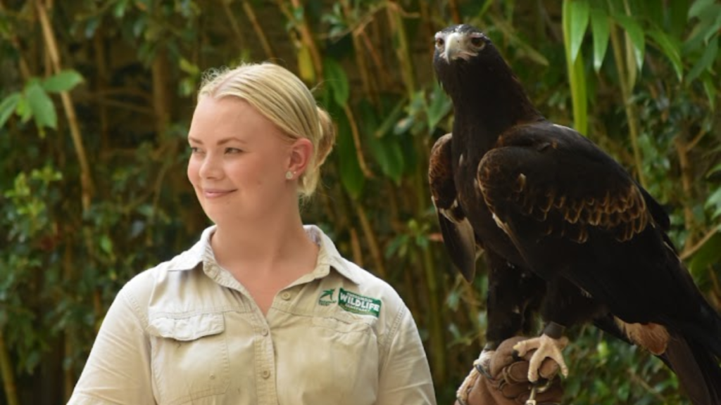 A woman standing outdoors with a large eagle perched nearby.