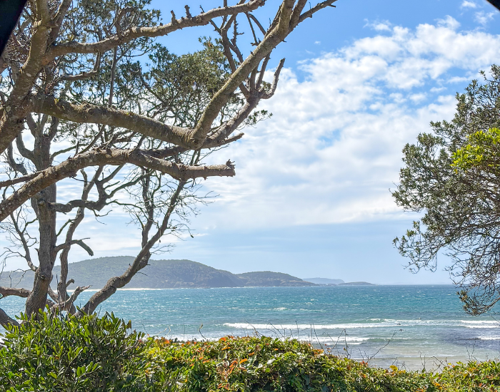 A scenic coastal view framed by tree branches, looking out over turquoise ocean waves and distant hills under a blue, cloudy sky.