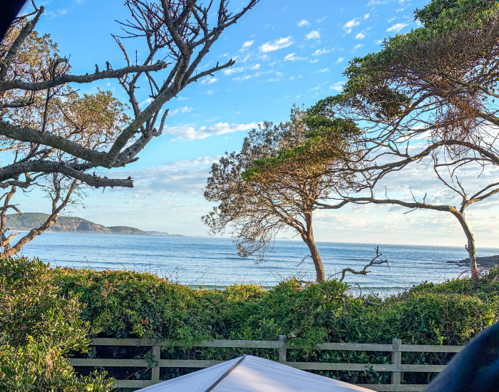 View of ocean waves and coastal foliage framing a blue sky from the elevated perspective of a roof-top tent setup.