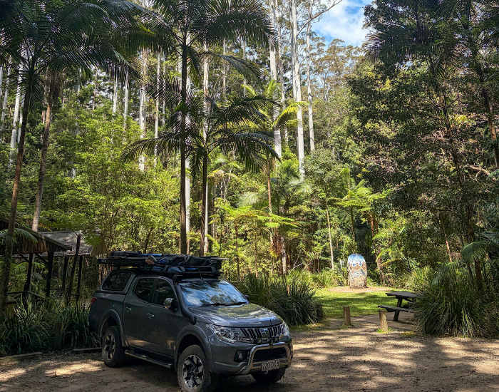  a car in Yarriabini National Park