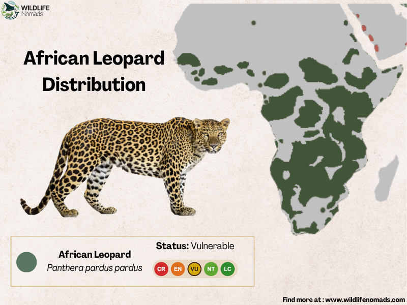 a map of Africa showing the distribution of the african leopard