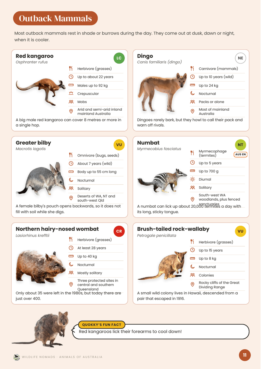 Animals of Australia: Fact-checked animal profile cards