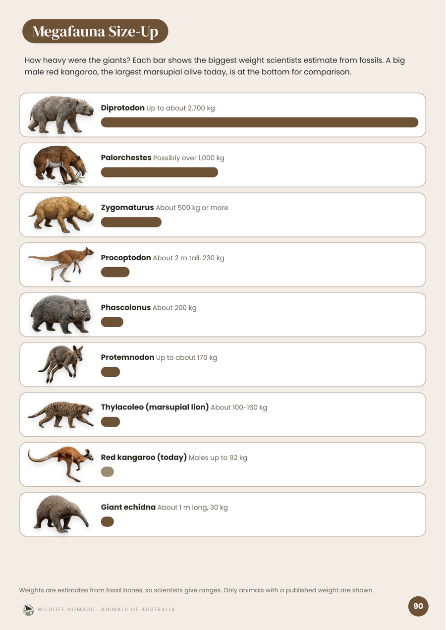 Animals of Australia: Ice-age megafauna