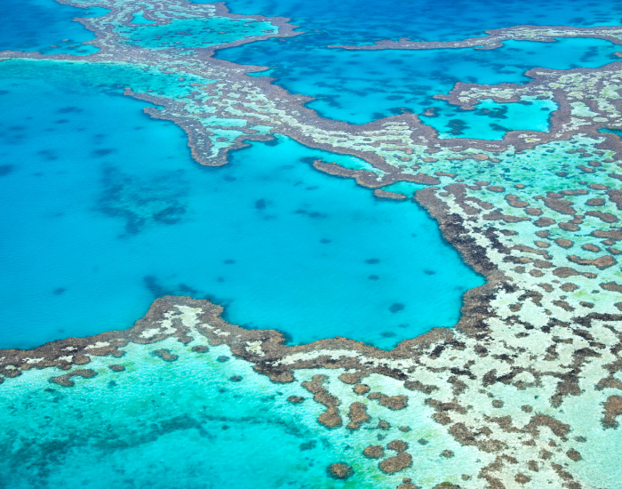 A barrier coral reef offshore, with a lagoon between the reef and the land