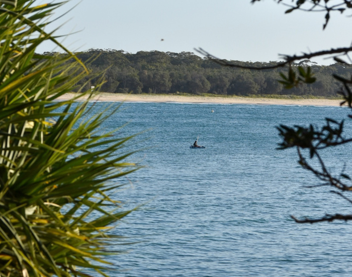A scenic lookout through coastal foliage showing a single person in a kayak paddling across calm blue water toward a distant sandy beach and treed shoreline.
