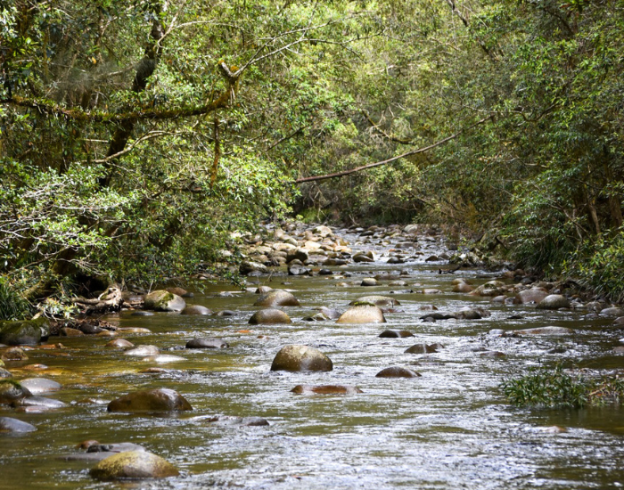 panoramic photo of a river